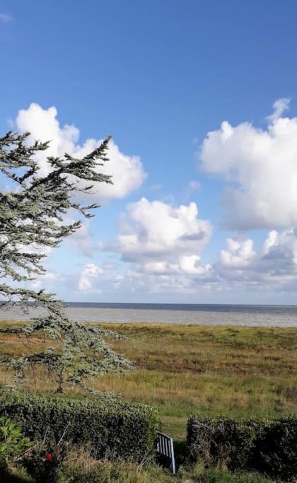 Vue Mer Pour Une Escale En Baie Du Mt-St-Michel Cherrueix Bagian luar foto